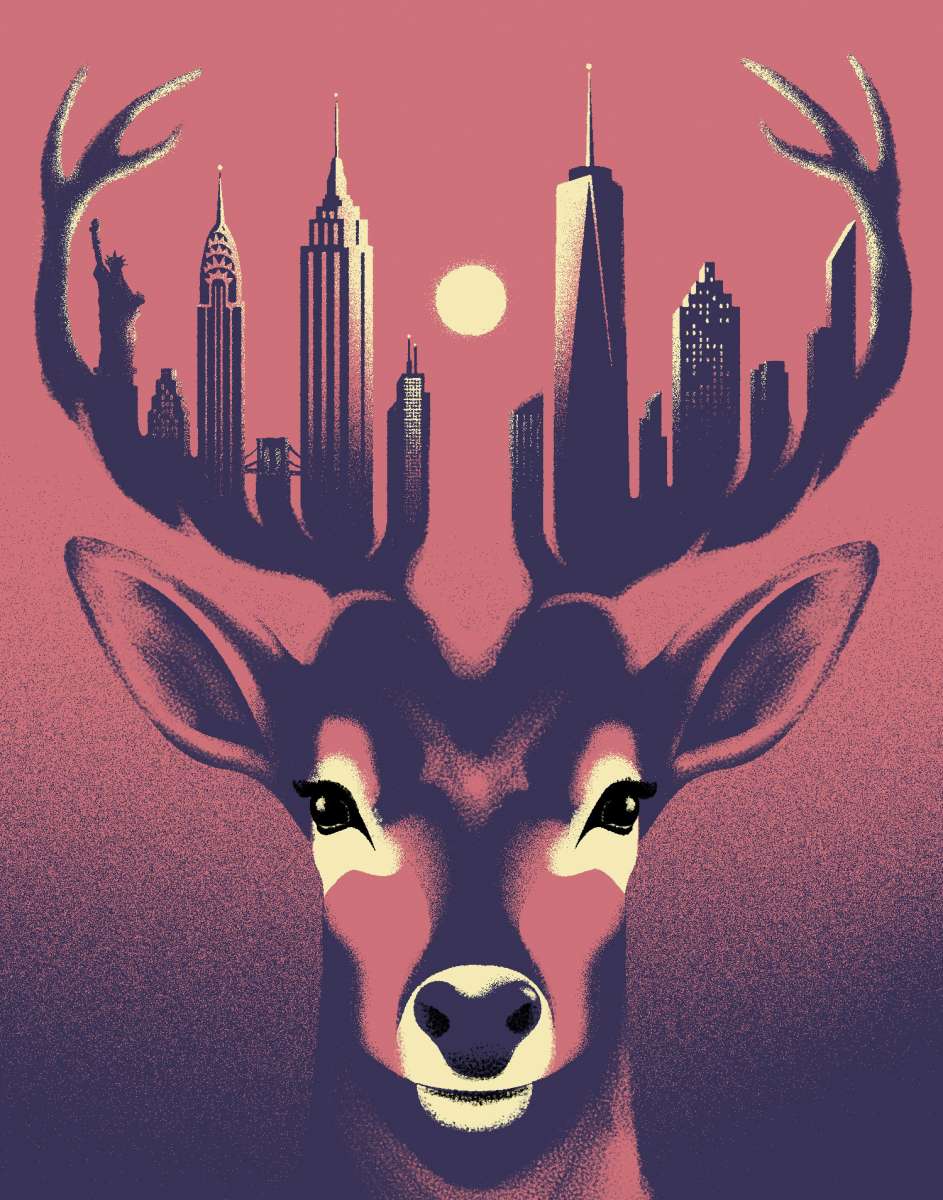 Deer on Staten Island — GOLDEN COSMOS